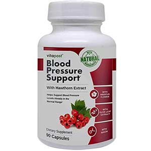 Blood Pressure Support