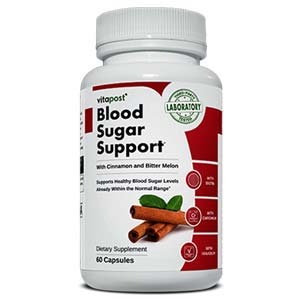 VitaPost Blood Sugar Support